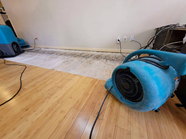 Professional Burst Pipe Water Damage technician working in Fogelsville, PA